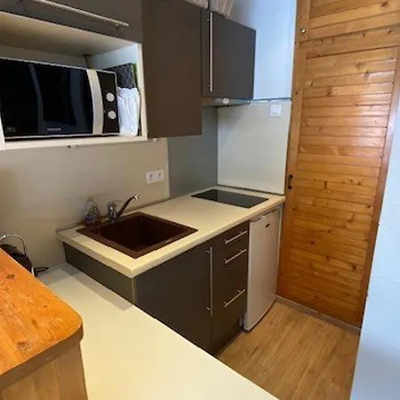 4 Pers Balcon, Acces Direct Pistes, Ascenseur - Fr-1-602-115 アパート *